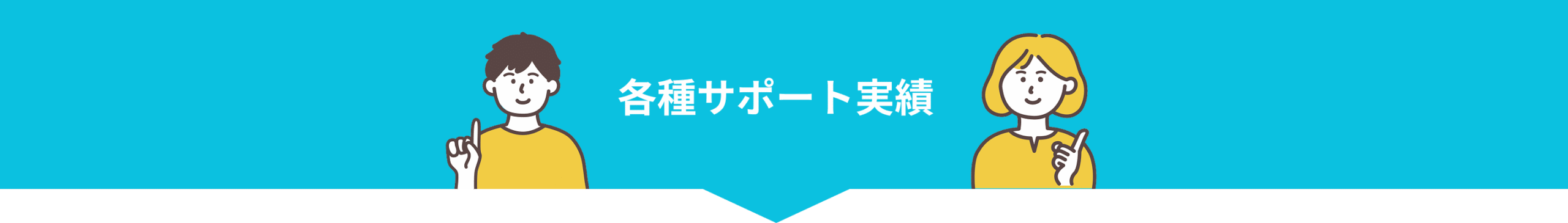 実績タイトル
